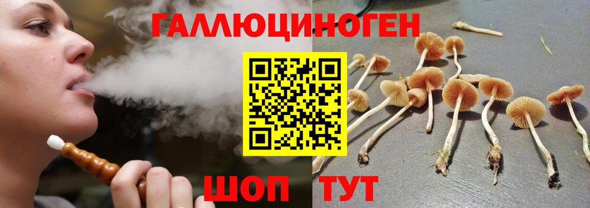 Киселёвск  Псилоцибиновые грибы GOLDEN TEACHER  Вход с VPN 